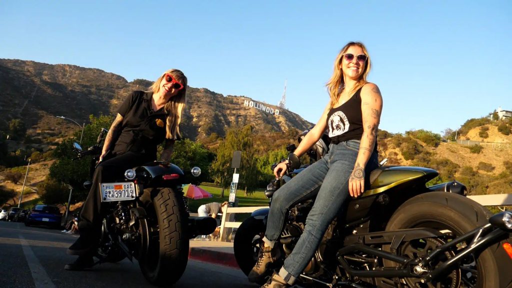 Chicks and Machines