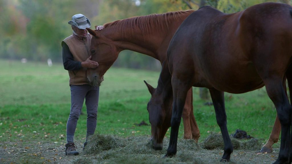A Horseman, A Dream, Boucane