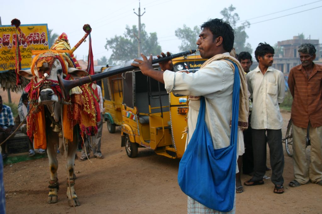 Mad Cow Sacred Cow