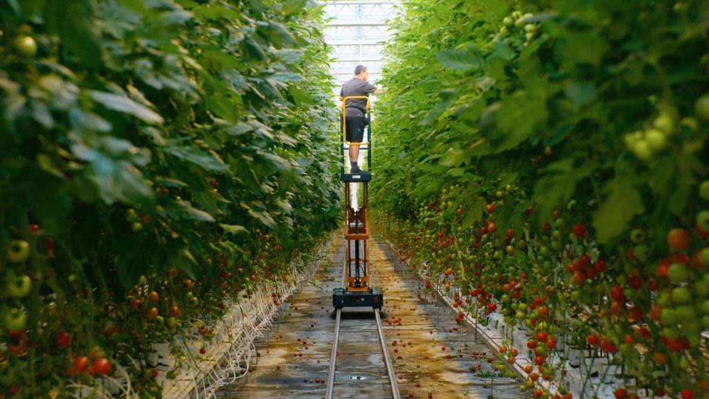 Farming Without Harming 2